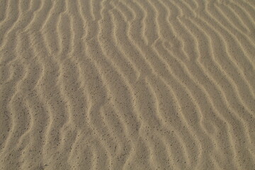 Fototapeta na wymiar Dunas de arena en la costa