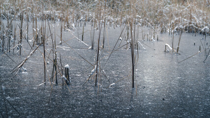 Zamarznięte jezioro w środku lasu zimą © Jakub