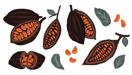 Hand drawn organic brown color cocoa beans with green leaves vector icon set isolated on white background for packaging chocolate drink and chocolate. Vector illustration