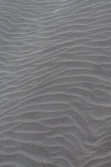 Fototapeta na wymiar Dunas de arena en la playa