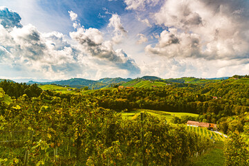 Fototapeta na wymiar Landscape of vineyards in Austria, South Styria. Travel destination.