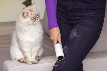 Woman cleaning black jeans with clothes roller, lint roller or hair removal roller. Cats hair on...