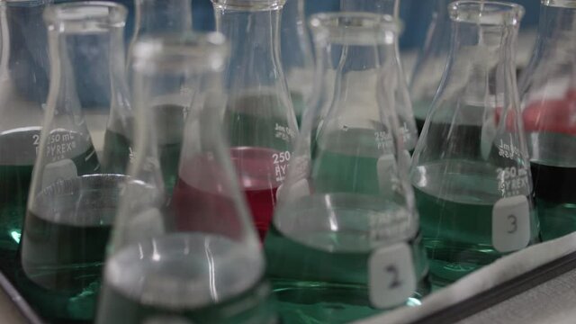 Real lab footage with lab glass filled with pink purple solution testing soils