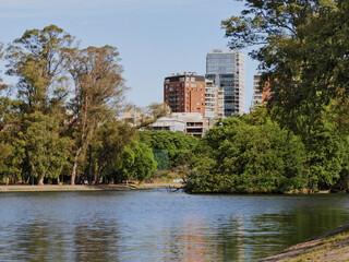 lago con el fondo arboles en palermo