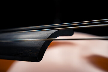 Double bass strings closeup at the end of the fretboard