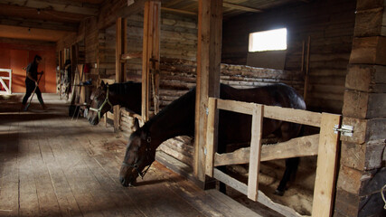 Wide angle view of the stables with horses standing in stalls. Stable girl cleans the floor with a broom.