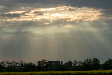 Fototapeta na wymiar promienie słońca przebijające się przez chmury nad polem rzepaku