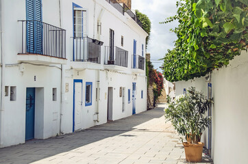 Old street with flowers on the wall in Ibiza, Spain