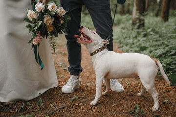 dog with bride and groom