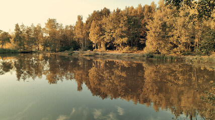 Forest reflection in lake.