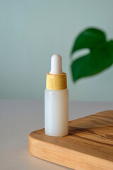 White serum lotion in eco-friendly bamboo dropper bottle and tropical palm leaf. Body care concept.