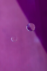 Purple Abstract Oil Drops in Water