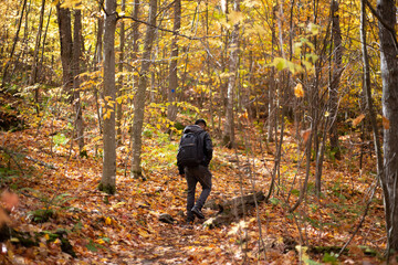 Man Hiking in Autumn Forest