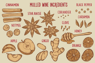 A set with ingredients for mulled wine (cinnamon, nutmeg, orange, cardamom, coriander, black pepper, apple, star anise, cloves, honey, ginger)