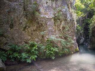 rio de agua clara en las montañas
