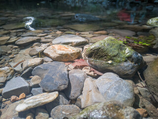 agua clara en el rio, entre las montañas del bosque tropical
