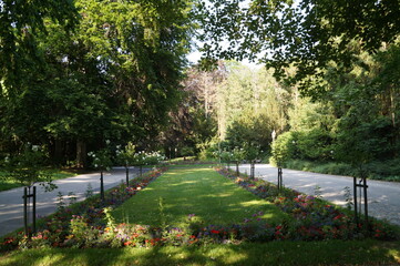 blooming flower bed in the Park on a Sunny summer day
