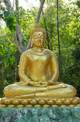 Golden Buddha statue in the tropical forest