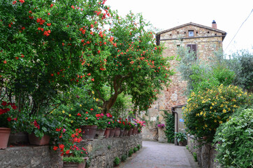 Fototapeta na wymiar Tuscan decor, street view of a small renaissance town with floral porches and rock houses mediterranean art.