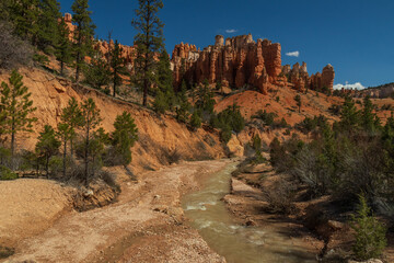 Mossy Cave Trail, Utah, USA
