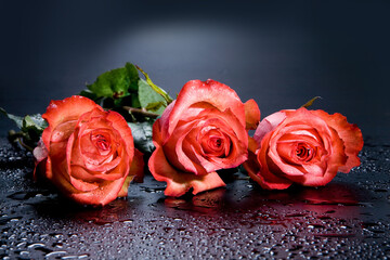 Three Red Roses