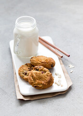 Multi-grain cookies with dried cranberries and milk on a tray on a light gray background