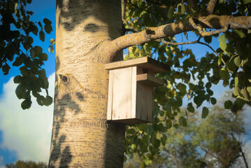 wooden birdhouse on a tree be birds