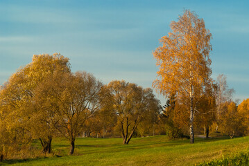 green meadow and trees in autumn. the promenade in Kengarags