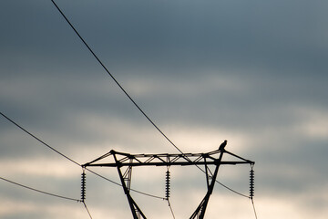 A wooden electric utility pole with electrical wires, transmission lines, conductors and...