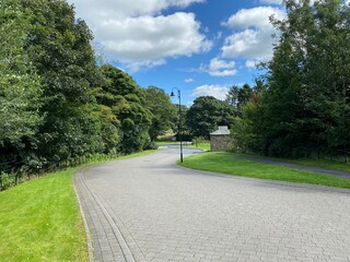 Looking down, Wharfedale Avenue, with grass verges, and old trees, on a sunny day in, Guiseley, Leeds, UK