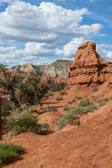 Kodachrome Basin State Park, Utah, USA