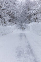 山の雪道