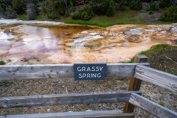 Fototapeta na wymiar Grassy Spring, a hot spring geothermal feature in the upper terraces in Mammoth Hot Springs Yellowstone National Park