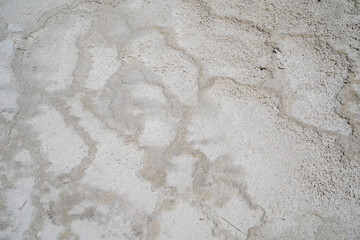 Bleached white terraces in Mammoth Hot Springs Yellowstone National Park