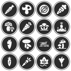 Fototapeta premium 16 pack of extracted filled web icons set