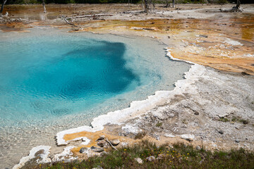 Silex Spring, in the Fountain Paint Pots geyser area of Yellowstone National Park