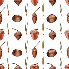 Pattern with acorn and nut . Botanical natural forest theme. Watercolor isolated illustration on white background. Seamless pattern, an illustration for postcards, posters, textile design and other.
