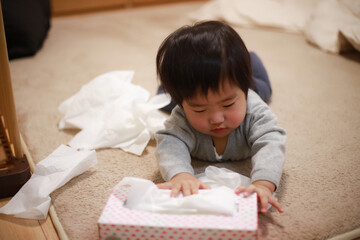 ティッシュを取り出す赤ちゃん