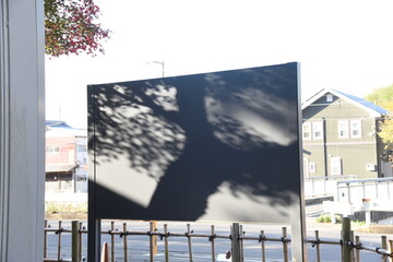 Abstract image of tree shadow on street corner.
