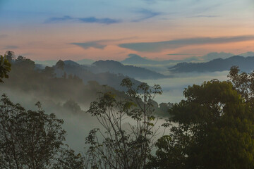 Beautiful sea mist the scene of nature in the morning of southern Thailand at Khao Khai Nui, Thailand