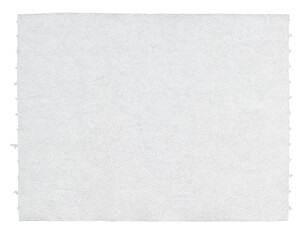 piece of toilet paper torn off isolated on white background