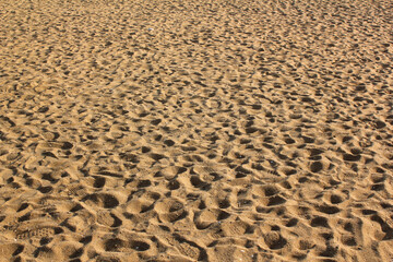  sand pattern of a beach in the summer