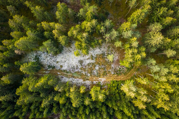 Aerial view of snowy forest with a little country road. Captured from above with a drone