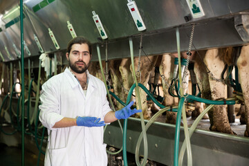Farm dairymaid young man working with automatical cow milking machines