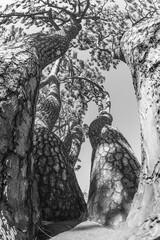 Fototapety na wymiar - Fototapeta24.pl