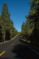 Naklejka premium road in the mountains