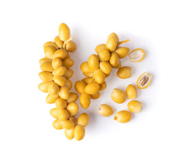 fresh date palm isolated on white background