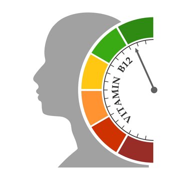 Gradient scale. vitamin b 12 level measuring device. Sign tachometer, speedometer, indicators. Infographic gauge element. Head of man silhouette.