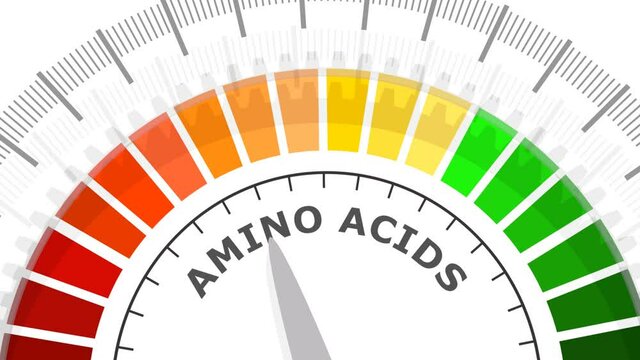 Gradient scale. Amino acids level measuring device icon. Sign tachometer, speedometer, indicators. Infographic gauge element. 3D rendering.