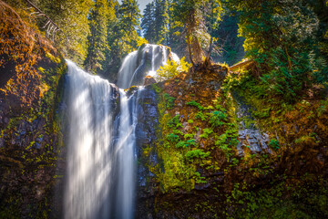 Falls Creek Falls, Gifford Pinchot National Forest, Washington